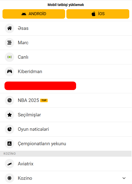 Mobil tətbiqə daxil edilmiş əlavə funksiyalar